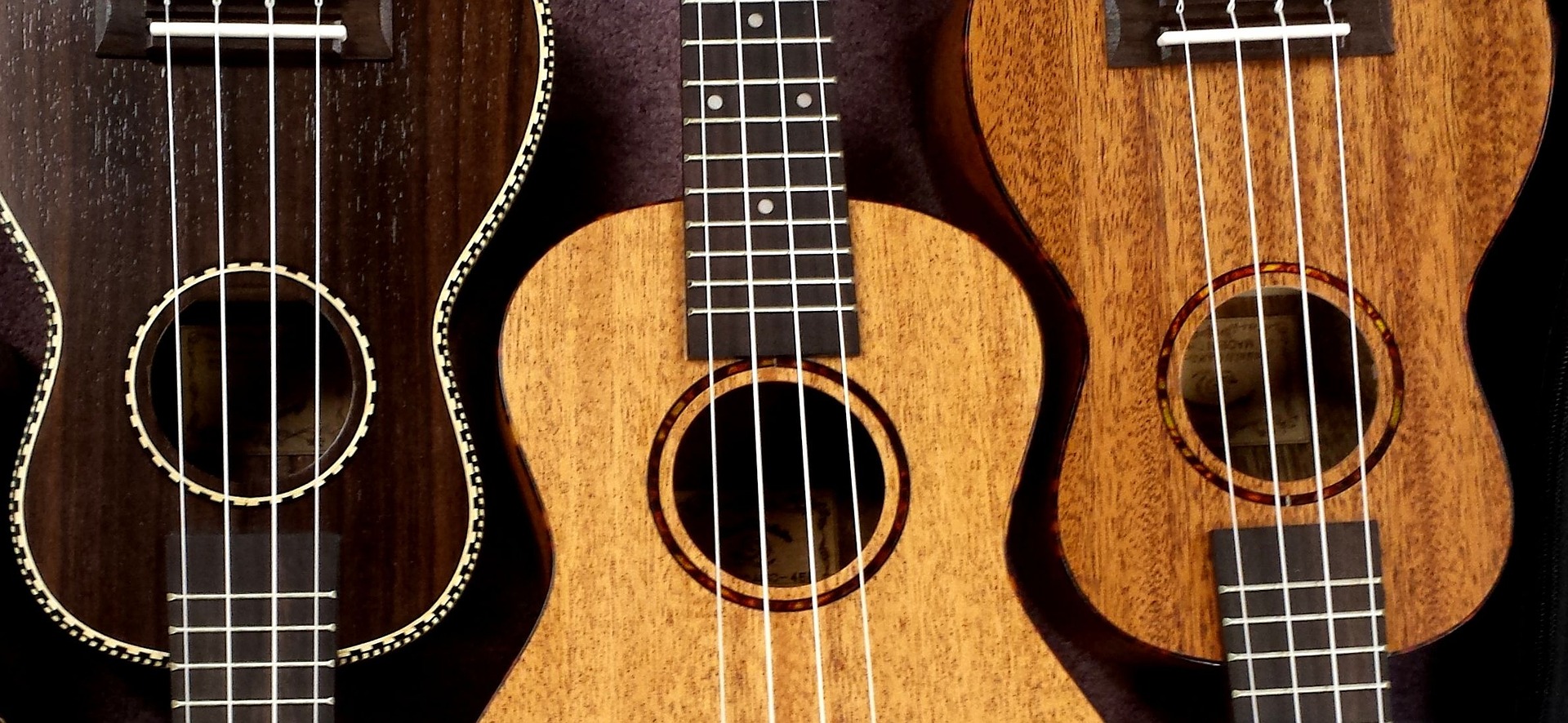 Three ukuleles