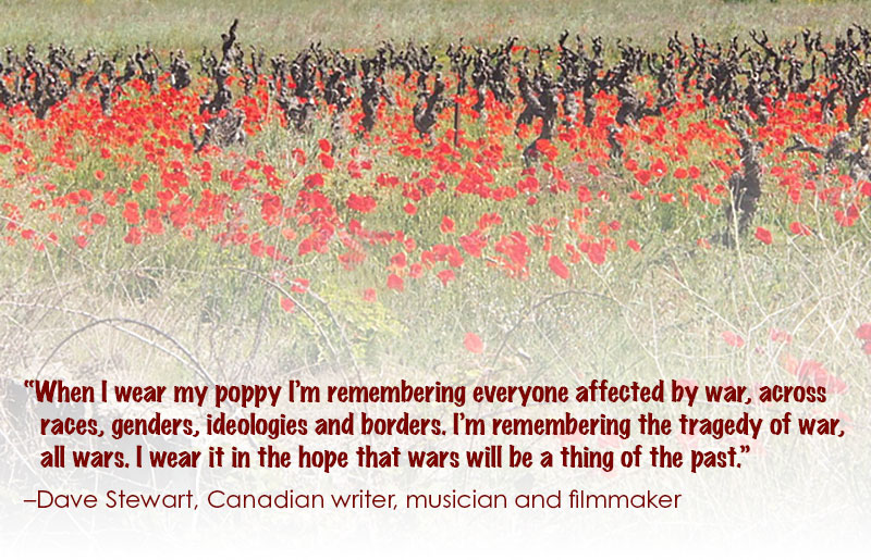 Poppy field with quote: “When I wear my poppy I’m remembering everyone affected by war, across races, genders, ideologies and borders. I’m remembering the tragedy of war, all wars. I wear it in the hope that wars will be a thing of the past.” –Dave Stewart, Canadian writer, musician and filmmaker